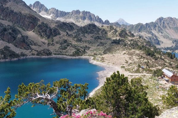 Explorez les Pyrénées : les meilleures aventures en montagne près de Toulouse